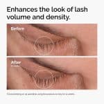 The Ordinary Multi-Peptide Lash and Brow Serum (5ml) - Image 4