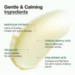 Anua Heartleaf LHA Moisture Peeling Gel (120ml) - Image 5