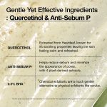 Anua Heartleaf Quercetinol Pore Deep Cleansing Foam - Image 4