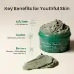 AXIS-Y Mugwort Pore Clarifying Wash Off Mask (100 ml) - Image 2