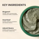 AXIS-Y Mugwort Pore Clarifying Wash Off Mask (100 ml) - Image 3