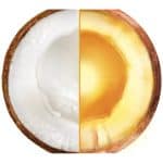Garnier Fructis Nourishing Treat 1 Minute Hair Mask with Coconut Extract (400 ml) - Image 2