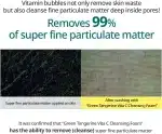 Goodal Green Tangerine Vita C Cleansing Foam (150 ml) - Image 7