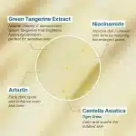 Goodal Green Tangerine Vita C Dark Spot Care Cream (50 ml) - Image 6