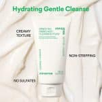 innisfree Green Tea Hydration Amino Cleansing Foam (150 g) - Image 5
