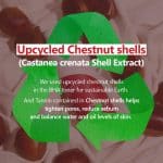 ISNTREE Chestnut BHA 2% Clear Liquid (100 ml) - Image 2