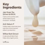 ISNTREE Green Tea Fresh Emulsion (120 ml) - Image 4