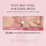 medicube PDRN Pink Cica Soothing Toner (250ml) - Image 2