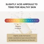 SKIN1004 Madagascar Centella Ampoule - Image 3