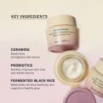 Haruharu Wonder Black Rice 5 Ceramide Barrier Moisturizing Cream (50ml) - Image 4